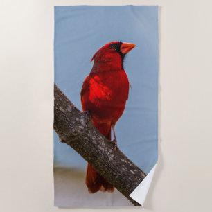 Una toalla de playa Cardinal