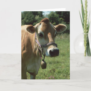 Una Vaca De Jersey Marrón En La Tarjeta De Saludo 