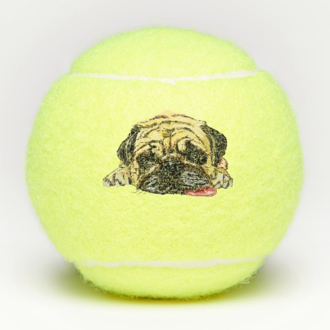 Unas divertidas bolas de tenis con un perro picado (Anverso)