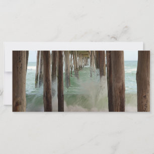 Under the Pier, de Shirley Taylor