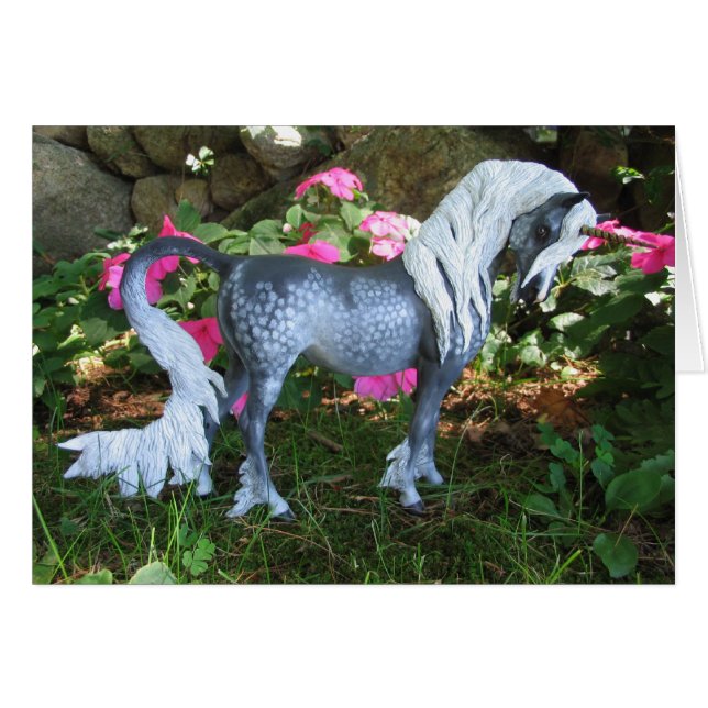 Unicornio gris de pliego (Anverso (Horizontal))