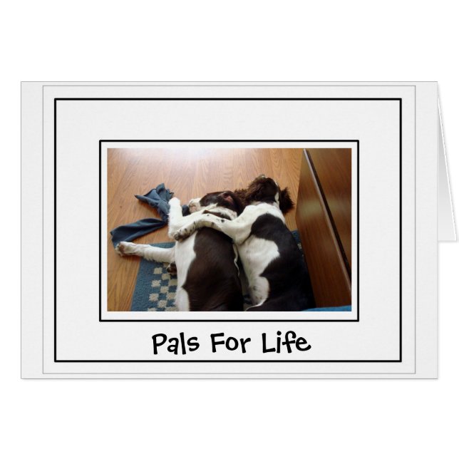 Unidad (Anverso (Horizontal))