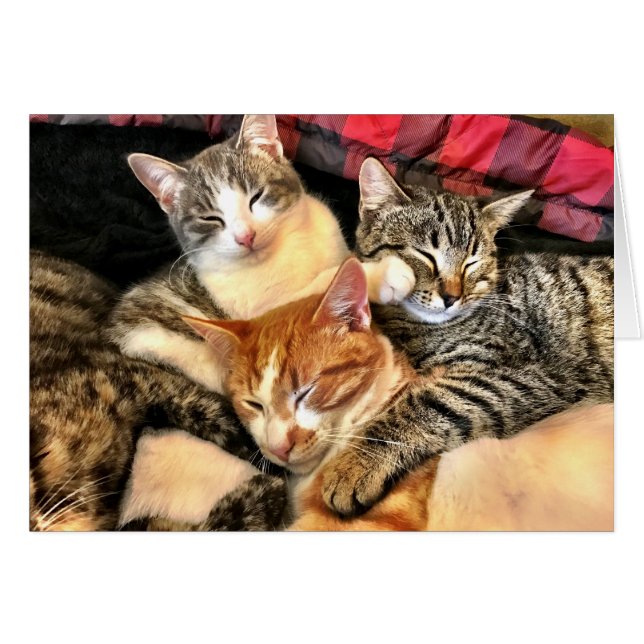 Unidad (Anverso (Horizontal))