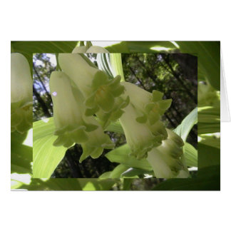 unidad en equilibrio