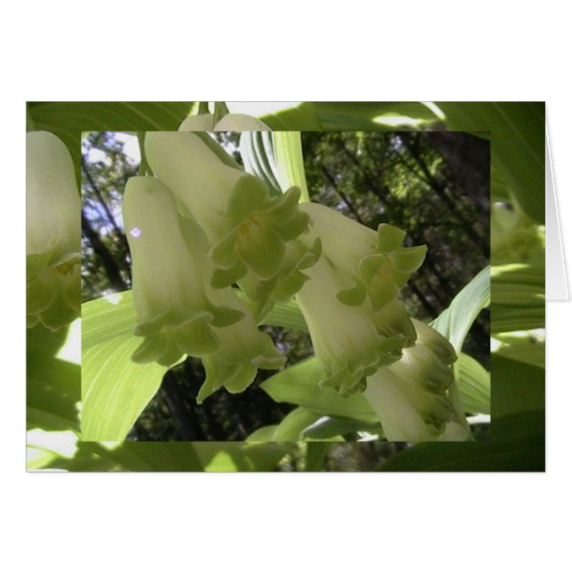 unidad en equilibrio (Anverso (Horizontal))