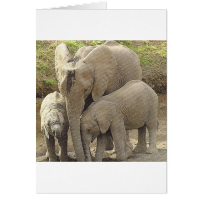 Unidad familiar.jpg (Frente)