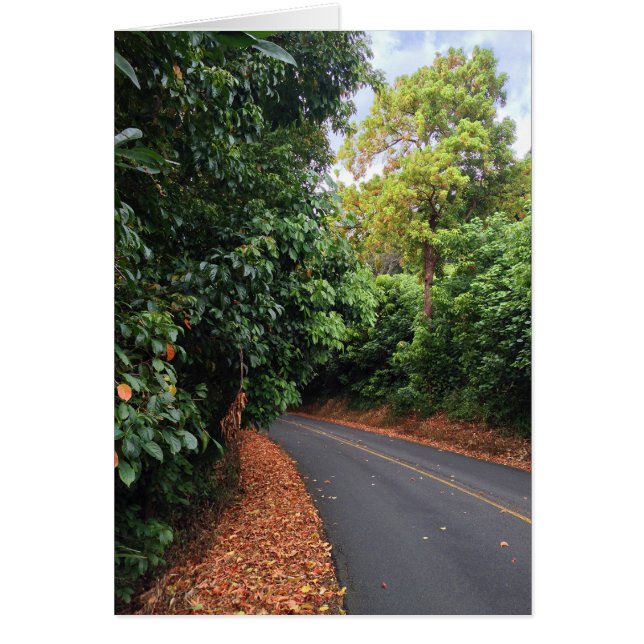 Unidad superior redonda (Frente)