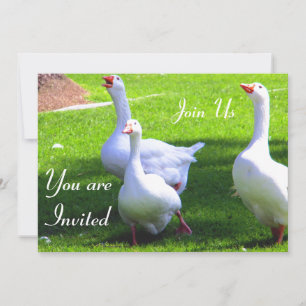 Unirse a la invitación