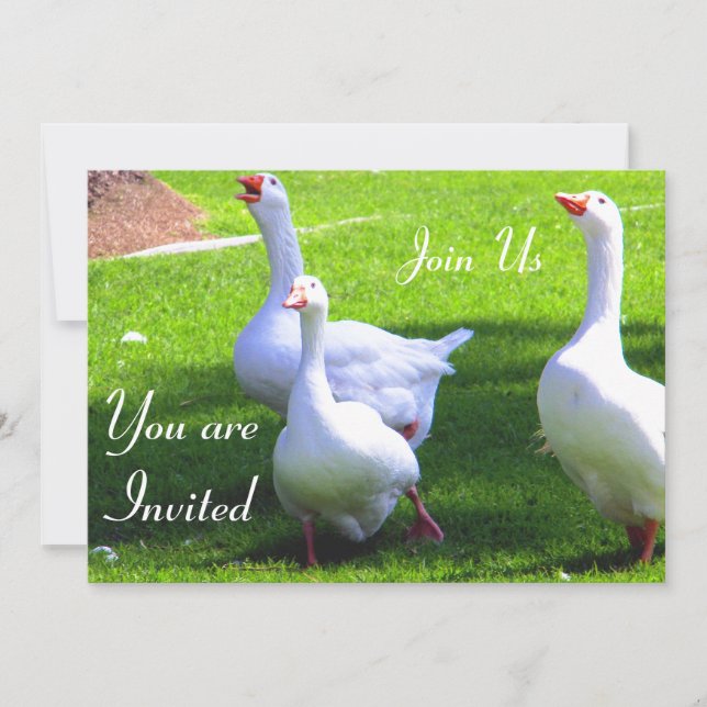 Unirse a la invitación (Anverso)
