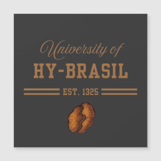 Universidad de Hy-Brasil, Est. 1325