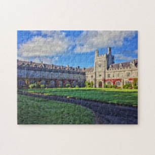 University College Cork, Irlanda Puzzle
