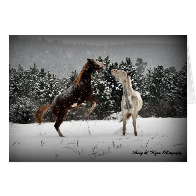 unleashed~ del ~Buckie (Anverso (Horizontal))