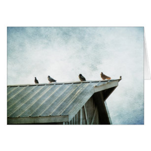 Uno de ellos no pertenece