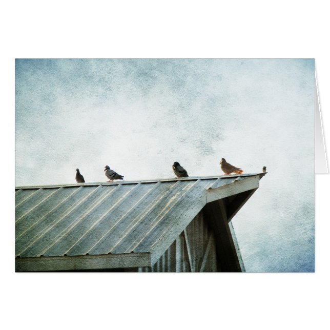 Uno de ellos no pertenece (Anverso (Horizontal))