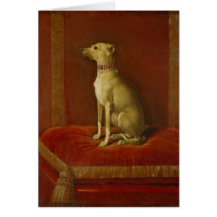 Uno de Frederick los galgos italianos de II