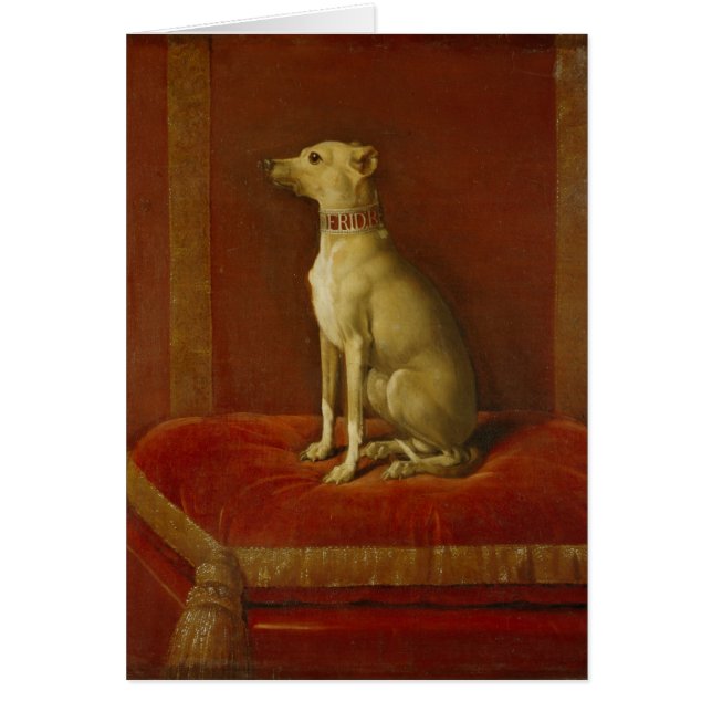 Uno de Frederick los galgos italianos de II (Frente)