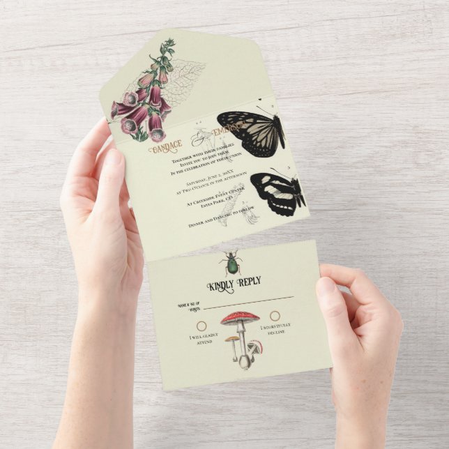 Uno Gabinete de curiosidades todo en una invitación de (desgarro)