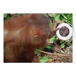 Uno mismo magnífico de la admiración hola