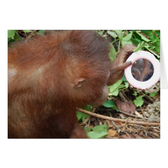 Uno mismo magnífico de la admiración hola (Anverso (Horizontal))