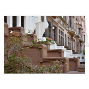 Upper West Side Brownstones New York City NYC