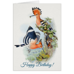 Upupa Epops Feliz cumpleaños