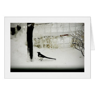 Urraca de la foto de la bella arte en nieve por el