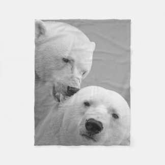 Urso Polar Amor e Cumplicidade