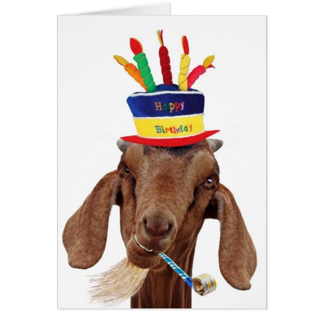 Usted cabra de Ol (Frente)