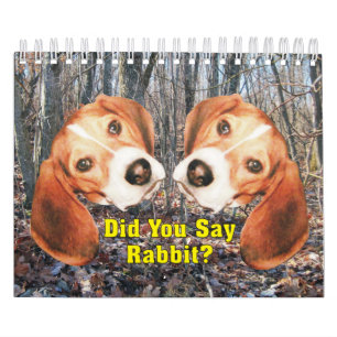 ¿Usted dijo el conejo? Calendario del beagle