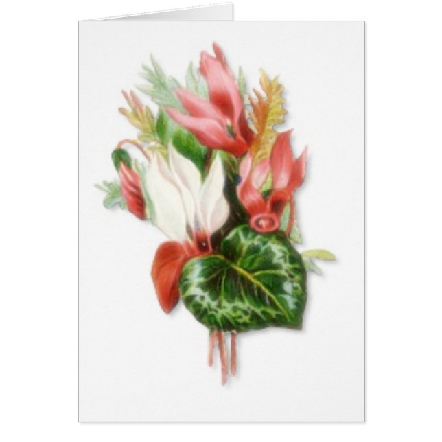 Usted es agradable (Frente)