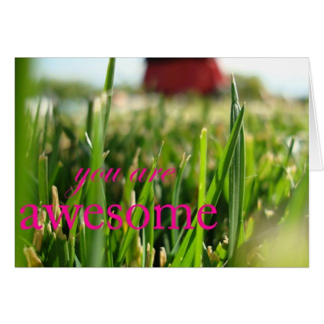 Usted es impresionante (Anverso (Horizontal))