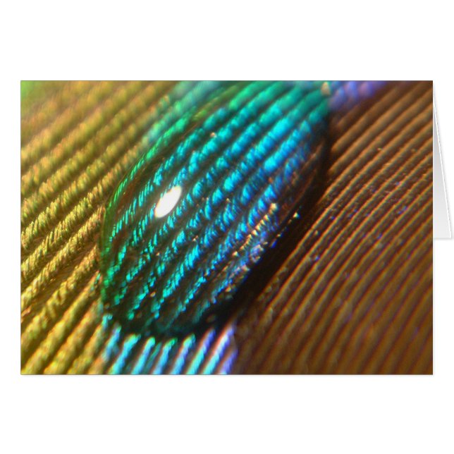 Usted es mi ARCO IRIS (Anverso (Horizontal))