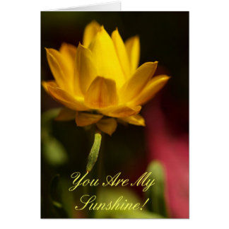 ¡Usted es mi sol!