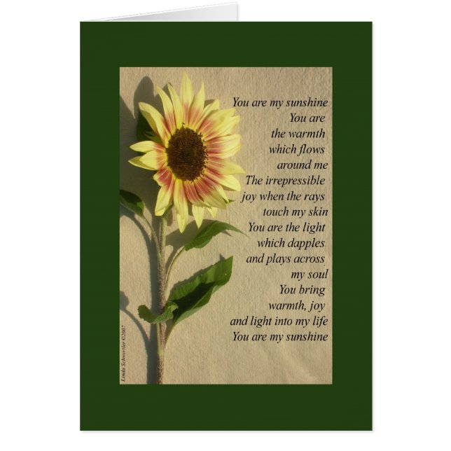 Usted es mi verso de la sol (Frente)