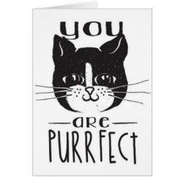Usted es Purrfect