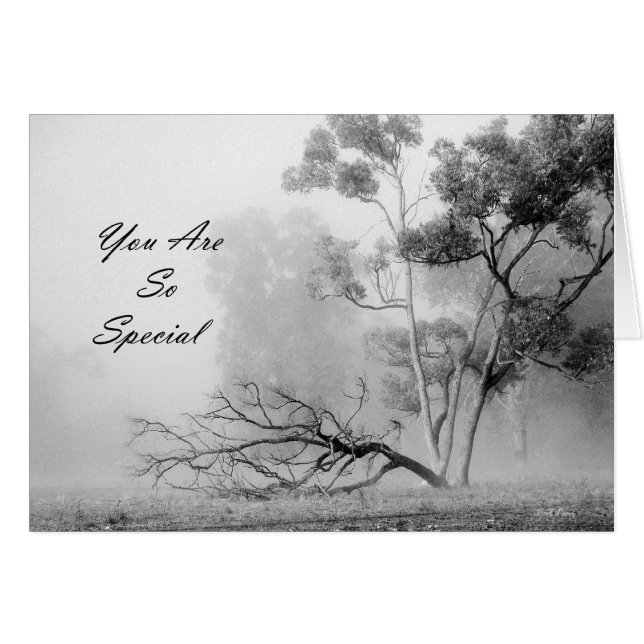 Usted es tan especial (Anverso (Horizontal))