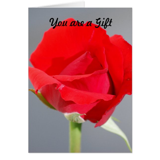 Usted es un regalo (Frente)