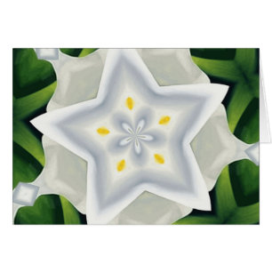 Usted es una estrella