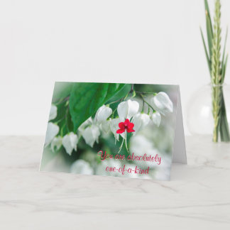 Usted es única tarjeta