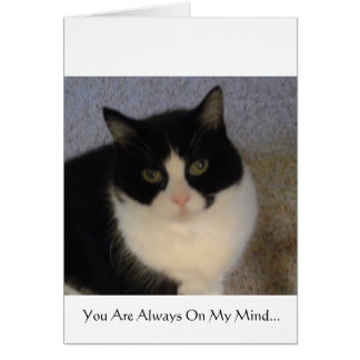 Usted está siempre en mi mente