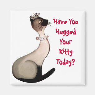 ¿Usted ha abrazado su gatito hoy? imanes