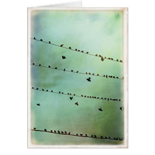 ¿Usted ha oído? - Espacio en blanco