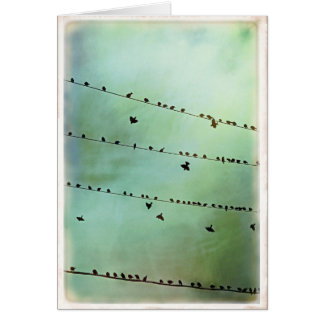 ¿Usted ha oído? - Espacio en blanco