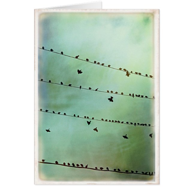 ¿Usted ha oído? - Espacio en blanco (Frente)