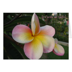 ¡Usted hace que sonríe!