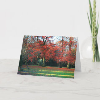 Usted lo dice la mejor tarjeta de felicitaciones