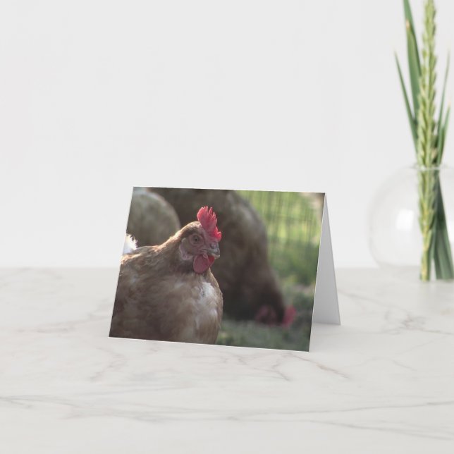 ¿Usted Lookin en mí? Tarjetas de nota (Anverso)