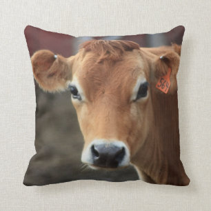 Usted no me piensa es almohada bonita de la vaca