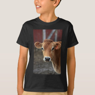 Usted no me piensa es vaca bonita del jersey