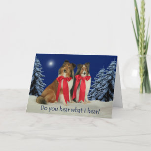 ¿Usted oye? Tarjeta de Navidad de Sheltie